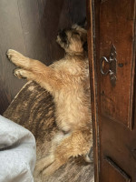 /album/193/38e128d3-1ab4-4fe9-b5c5-c0ac19631cb5-jpeg/