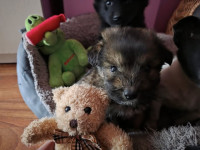 /album/193/577759693-24921449590799307-934799157740919024-n-jpg/