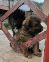 /album/193/579606242-25000380422906223-6520842504950210262-n-jpg/