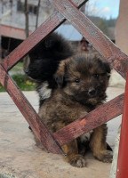 /album/193/581938536-25000379899572942-7228272936557112337-n-jpg/