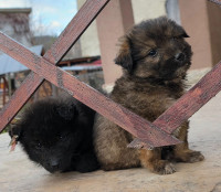 /album/193/579948540-25000378149573117-7658346397382987738-n-jpg/