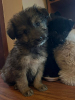 /album/193/589656760-25117055327905398-785580838303075628-n-jpg/