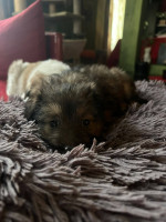 /album/193/592078142-10235421568671808-4039430716956018156-n-jpg/