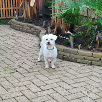 /album/08-03-20261/649735627-10240667242087799-4915543289719690214-n-jpg/