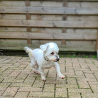 /album/08-03-20261/649209765-10240667241807792-9173543654037334875-n-jpg/