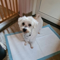 /album/08-03-20261/649269772-10240667240887769-2581776378553604882-n-jpg/