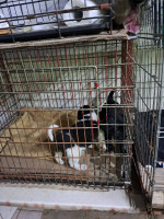 /album/246/641373757-2670696676649837-769518693171494757-n-jpg/