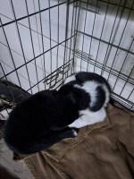 /album/246/639198743-2670696603316511-3817911667251238997-n-jpg/