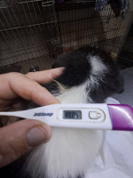 /album/246/641460053-2670696406649864-4799704706646091225-n-jpg/