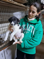 /album/246/641215726-2670696263316545-5172095428910583532-n-jpg/