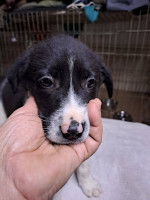 /album/246/641340936-2670696199983218-254997143749247465-n-jpg/