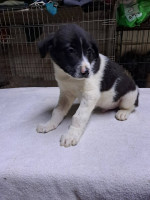 /album/246/641624777-2670696139983224-5454160398560957662-n-jpg/