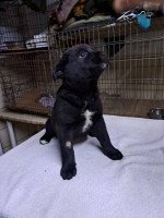 /album/251/641350442-2670695986649906-6976781883548758032-n-jpg/