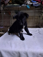 /album/251/640557359-2670695933316578-6582827311482141202-n-jpg/