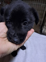 /album/251/638344193-2670695799983258-7530106644048321027-n-jpg/