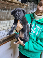 /album/251/640318427-2670695636649941-5751726199899037344-n-jpg/