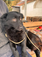 /album/253/625114675-1320034233489246-1581670698291928452-n-jpg/