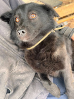 /album/253/625003966-1320034360155900-7649812635186420348-n-jpg/