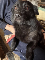 /album/253/625045156-1320034273489242-2811793641570683510-n-jpg/