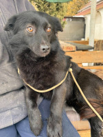 /album/253/625075694-1320034266822576-2933710523424883802-n-jpg/