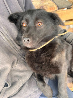 /album/253/625103232-1320034313489238-4460429310493333123-n-jpg/