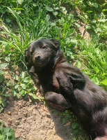 /album/253/624841807-1320034396822563-6432493919140600079-n-jpg/