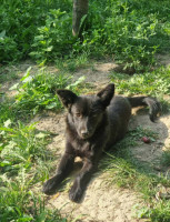 /album/253/625000015-1320034250155911-7828335155010465801-n-jpg/