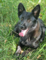 /album/253/624847355-1320034193489250-6720981553472840632-n-jpg/