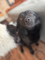 /album/253/639978233-1340610791431590-7058400448018007408-n-jpg/