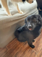 /album/253/642237989-1340611248098211-2911592526095236911-n-jpg/