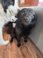 /album/253/641262931-1340610748098261-4955003077586851442-n-jpg/