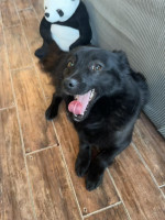 /album/253/641283685-1340611621431507-5130826187958176204-n-jpg/