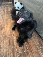 /album/253/641256893-1340611111431558-3921904420368368354-n-jpg/