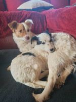 /album/78/647268618-25986833444260911-3783691087458604711-n-jpg/