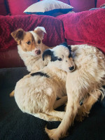 /album/78/644196138-25956054524005470-8207252581465110800-n-jpg/