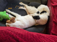 /album/78/643546683-25900518756225714-1727826151483918624-n-jpg/