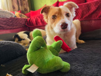 /album/78/642798555-25900516962892560-5833877365781497762-n-jpg/