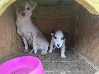 /album/78/618633177-1373096657902372-6170741881185411291-n-jpg/