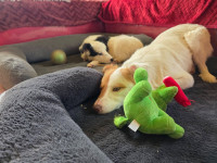 /album/199/640955767-25900518272892429-5637506668921268287-n-jpg1/