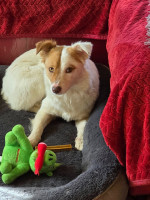 /album/199/641335177-25900517702892486-892477504873628323-n-jpg/