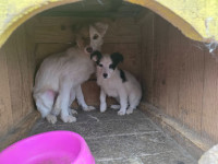 /album/199/623360885-1373096704569034-7204489520915591301-n-jpg1/