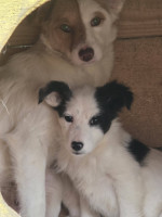 /album/199/618809746-1373096607902377-2563762632271551418-n-jpg1/