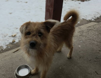 /album/201/638376279-25846309294979994-401838979298170503-n-jpg/