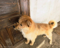 /album/201/637678835-25846308778313379-1221024197808779904-n-jpg/