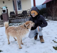 /album/201/626042866-25705449689065956-2963812240871788523-n-jpg/