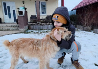 /album/201/626760784-25705449255732666-7816377260174465577-n-jpg/