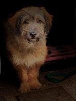 /album/18-03-2026/651315861-18012203489833143-423179899951238213-n-jpg/