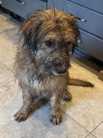 /album/18-03-2026/651894100-18012203462833143-5138252086598529711-n-jpg/