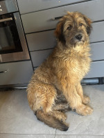 /album/18-03-2026/653460194-18012203459833143-2765189563950565911-n-jpg/