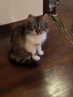 /album/75/66dc823f-d179-4dec-8616-2d90269fa03e-jpeg/